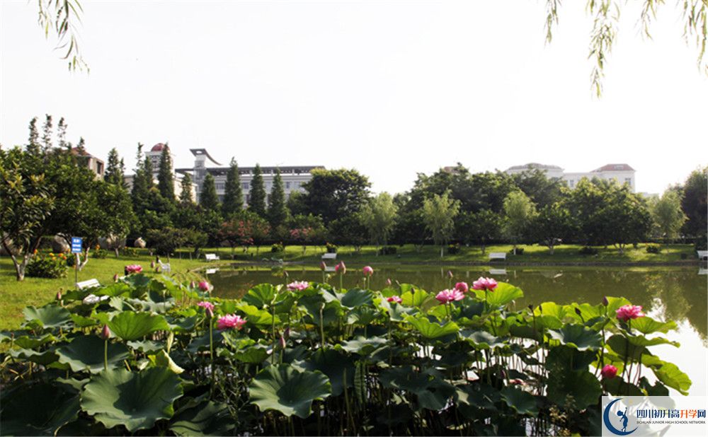 成都教科院附屬學(xué)校2020年保送清華北大的人數(shù)是多少？