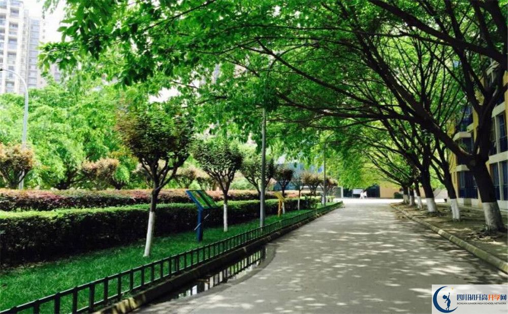 成都七中實驗學(xué)校自主招生條件是什么？