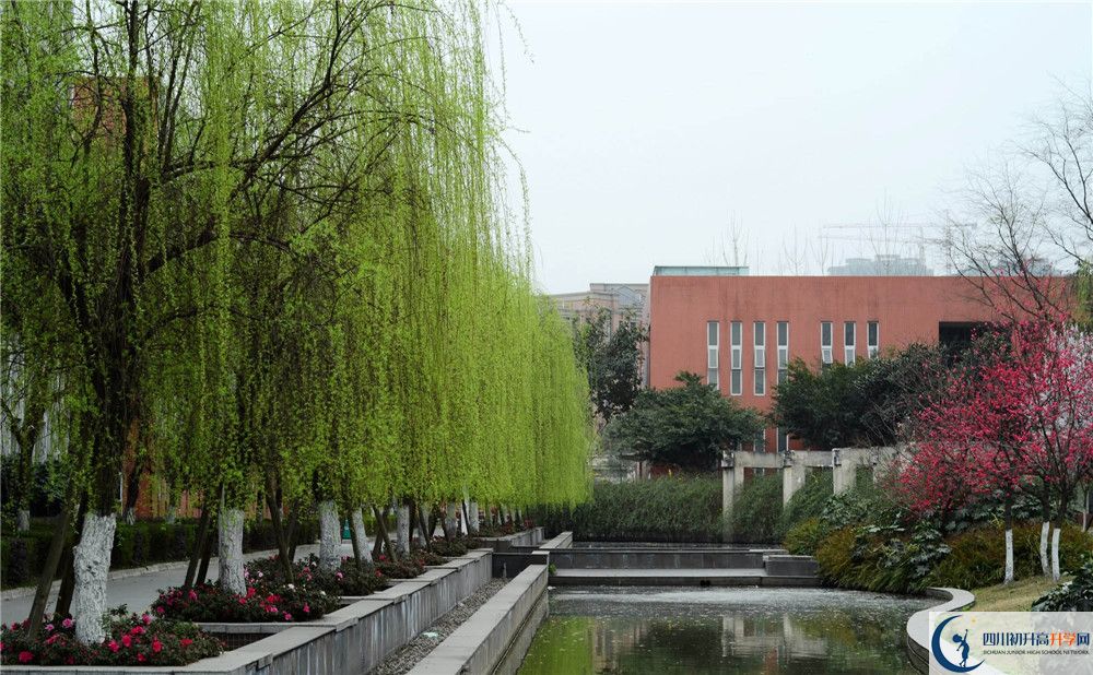 香城中學(xué)自主招生條件是什么？