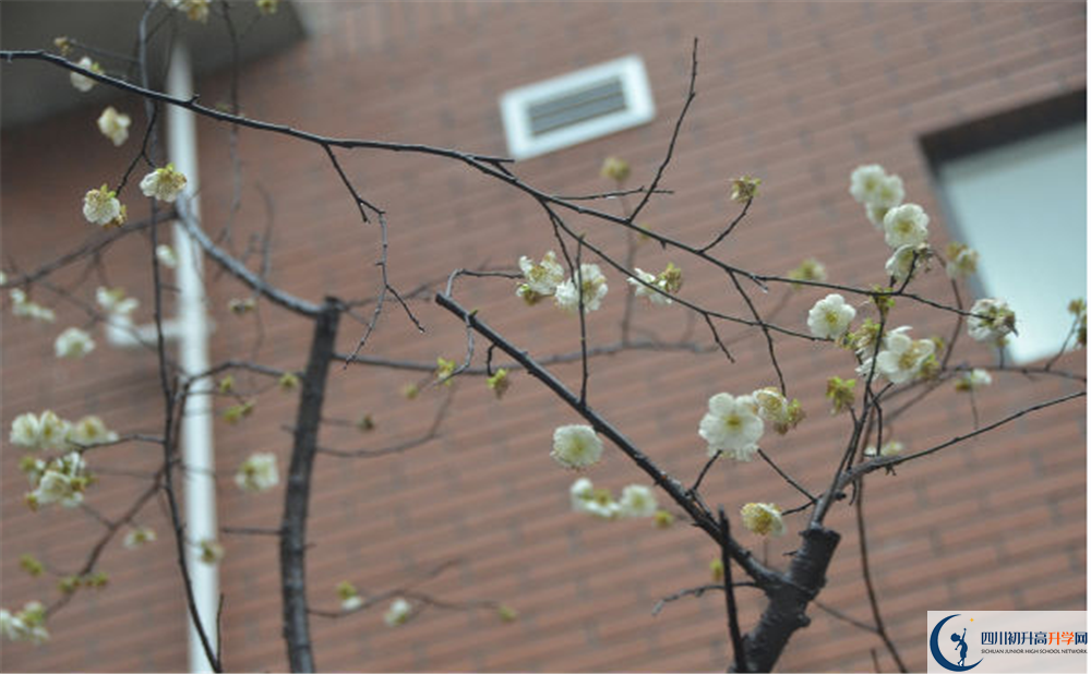 新格林藝術(shù)高級中學(xué)校的高中住宿怎么樣？