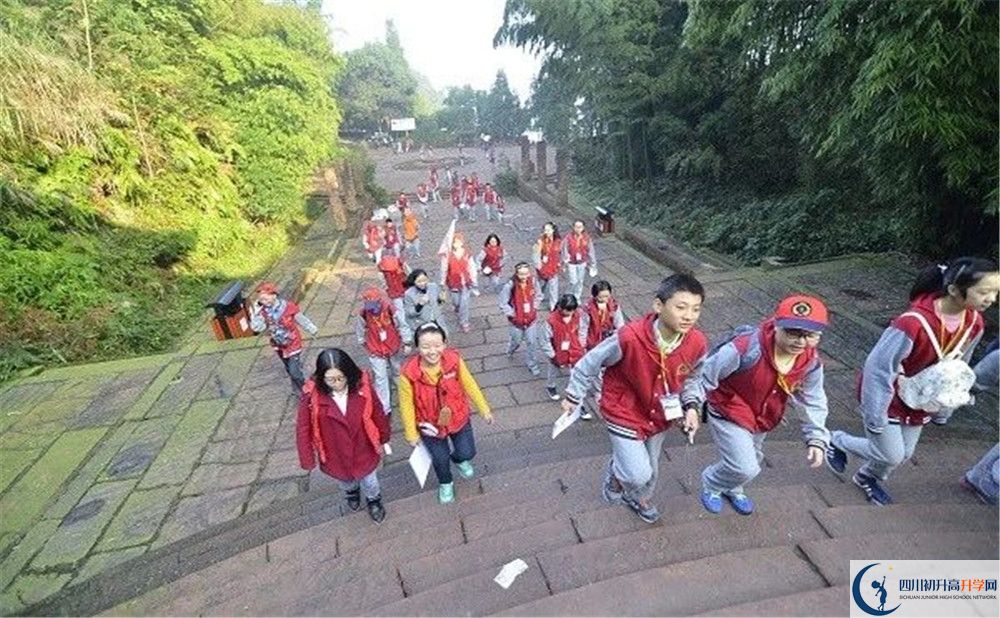 成都市泡桐樹中學(xué)和樹德中學(xué)誰好？