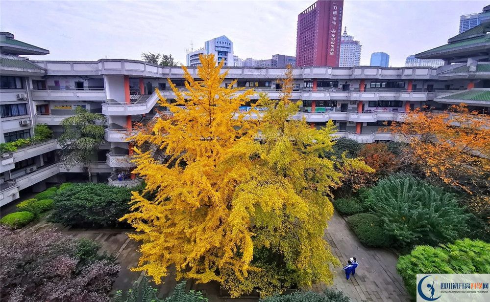 成都市泡桐樹中學(xué)2020年全國排名？