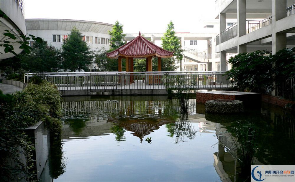 2020成都市龍泉中學(xué)高考重點(diǎn)大學(xué)升學(xué)率是多少？
