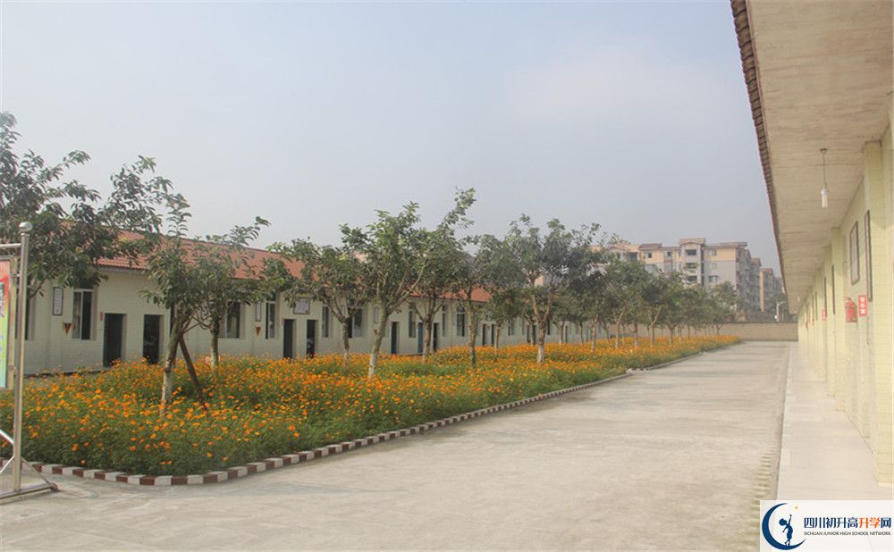 強(qiáng)項(xiàng)實(shí)驗(yàn)中學(xué)在全國高中排名多少？
