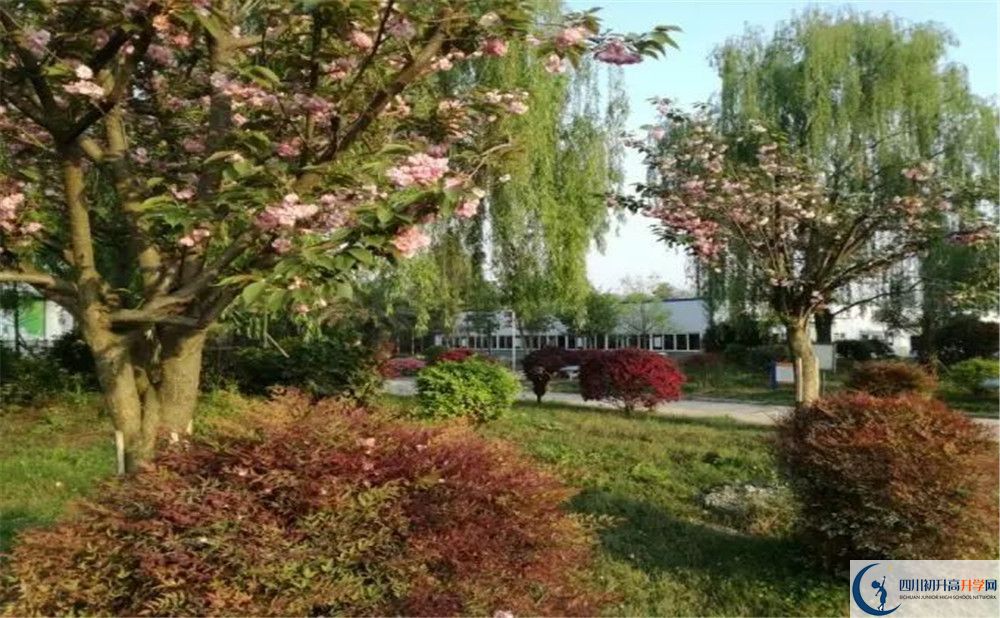 四川師范大學(xué)附屬第三實驗中學(xué)實驗班人數(shù)是多少？
