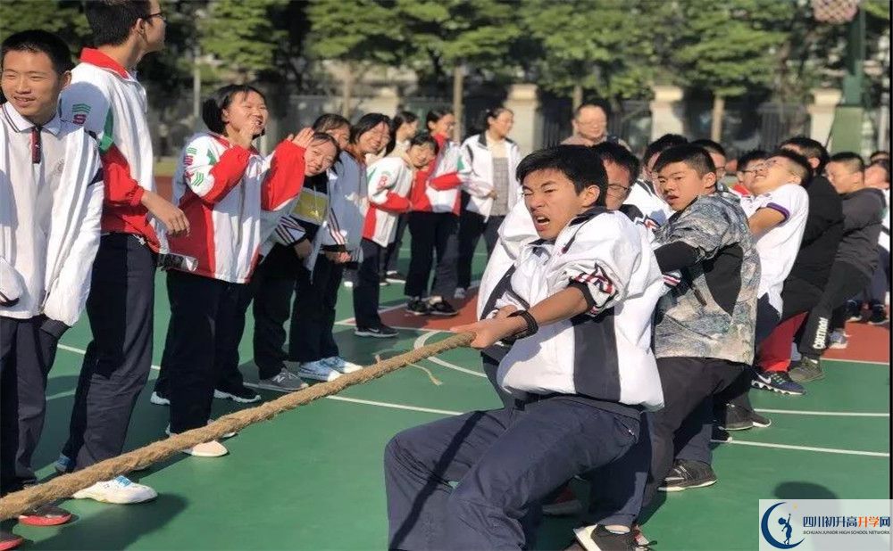 成都樹德中學(xué)面向全國(guó)招生嗎？