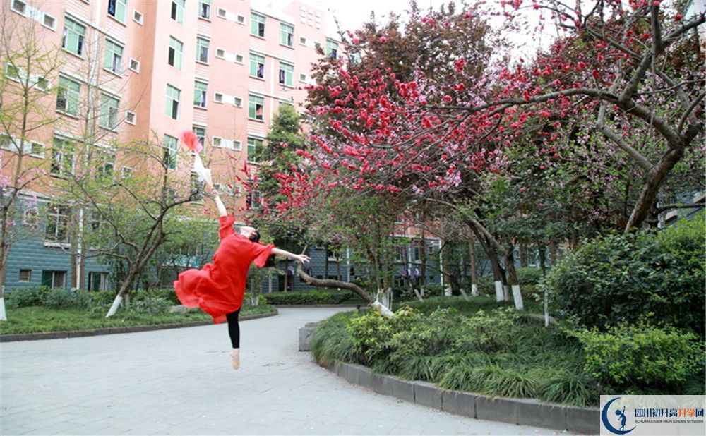 簡陽中學(xué)實(shí)驗(yàn)班人數(shù)是多少？