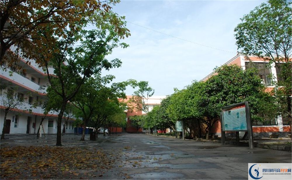 大邑中學(xué)平行班中考重點(diǎn)率是多少？