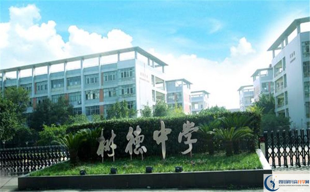 成都樹德中學光華校區(qū)補課嗎？