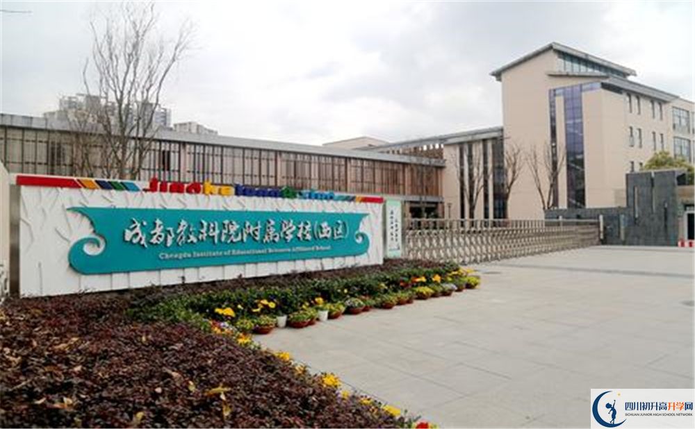 成都教科院附屬學(xué)校2020年高考人數(shù)是多少？