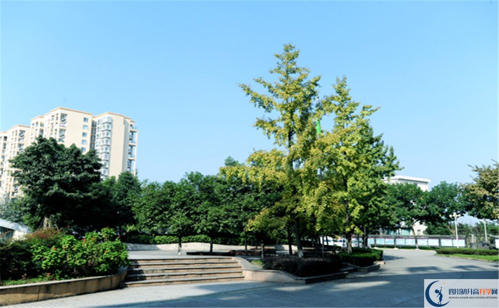 成都棠湖外國語學校校園風采