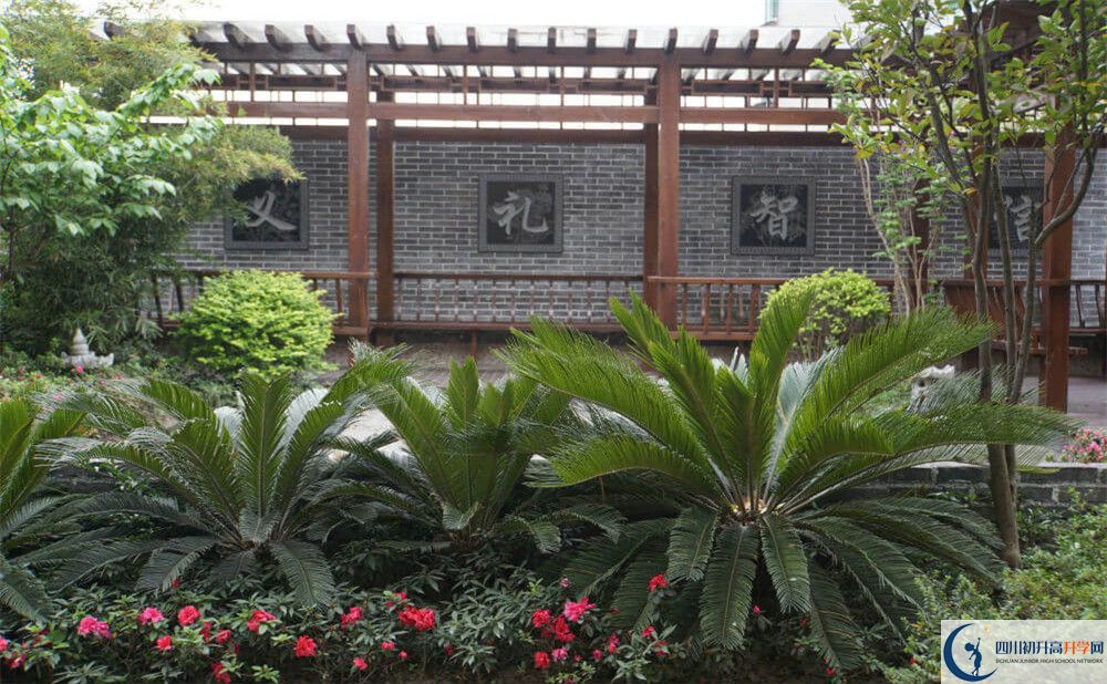2020成都八中考自主招生條件是什么，有何變化？
