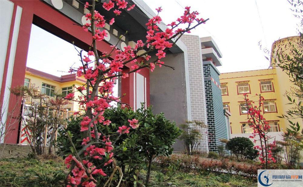 金川中學(xué)今年的錄取條件是否有變化？