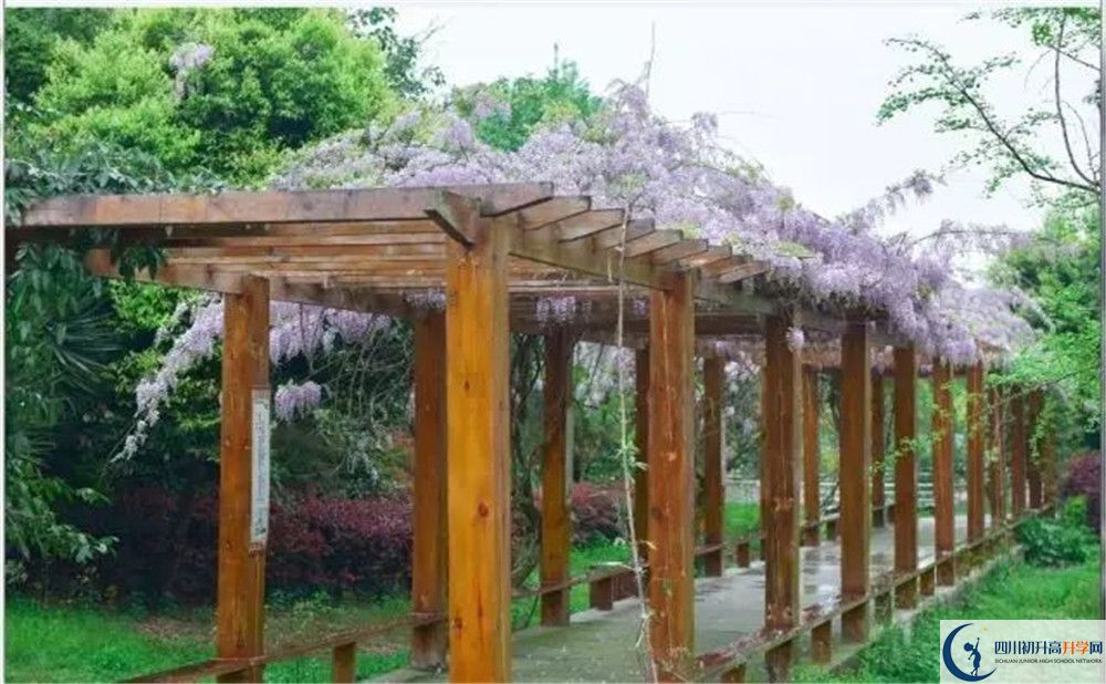 廣安花橋中學高三診斷考試時間怎么安排？