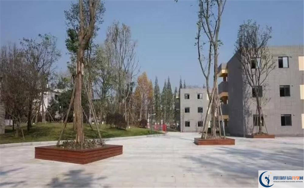 成都綿實外國語學(xué)校2020年學(xué)費是多少錢？