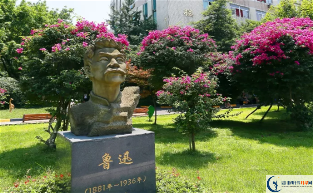 武侯中學2020年錄取分數(shù)線是多少？