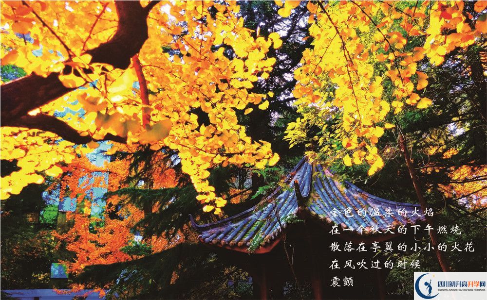 七中高新2020年錄取分數線是多少分？