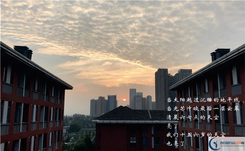 七中高新2020年好嗎？