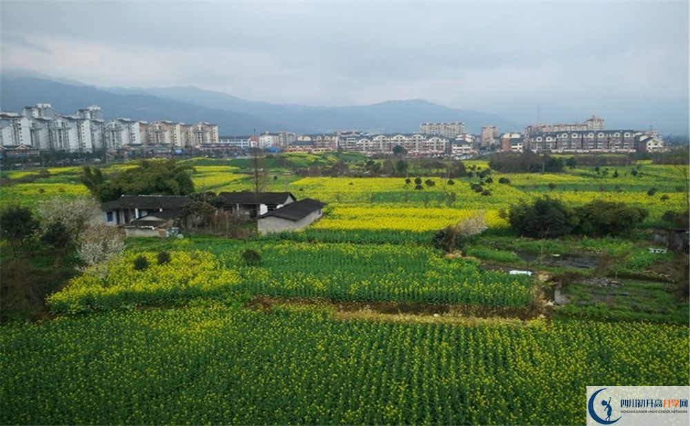 都江堰育才學校2020年錄取分數(shù)線是多少分？