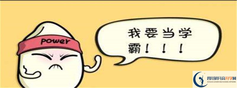 北二外成都附中2021清華北大錄取學生多少？