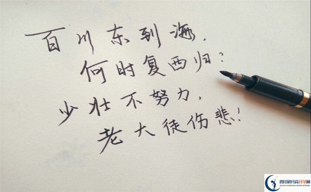 2023年成都市大邑縣實(shí)驗(yàn)中學(xué)招生計(jì)劃是什么？